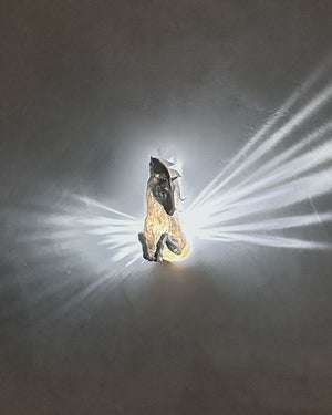 Pegasus Wall  Light